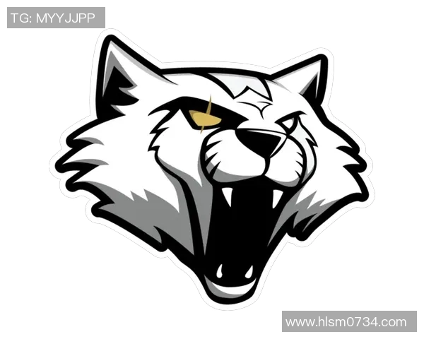 CSGO战术解析BLG战队阵地战体系的精妙布局与执行策略 CSGO战术解析BLG战队阵地战体系的精妙布局与执行策略